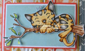 Kitty Capers close up