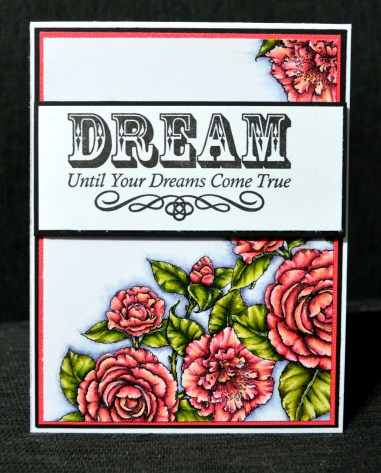 Power poppy dream 1.jpg