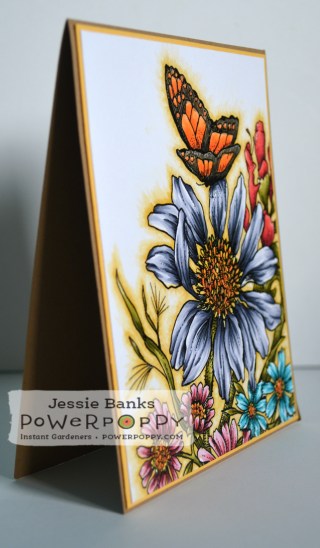 PP Prairie bouquet 2