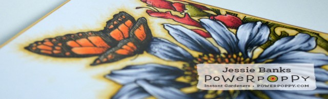 PP Prairie bouquet 3