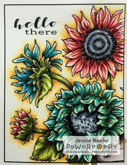 Sunshine of my life.jpg