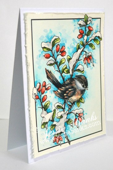 chickadee-2