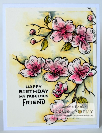 Graceful Still life.jpg