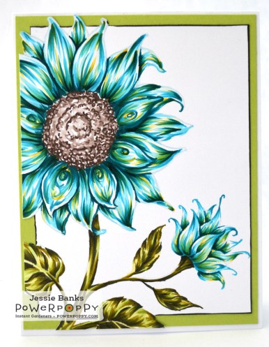 POwer Poppy Sunflower.jpg