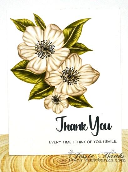 Altrenew - Adore you.jpg