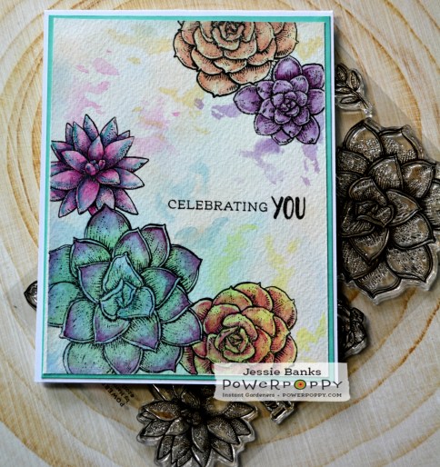 Power Poppy - succulent singles.jpg