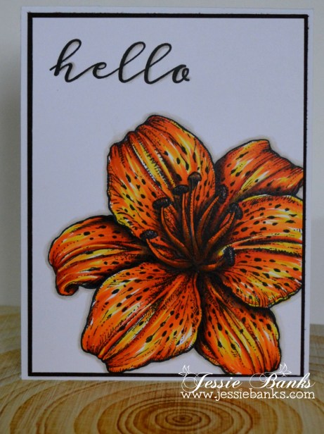 Power Poppy Tiger Lily.jpg