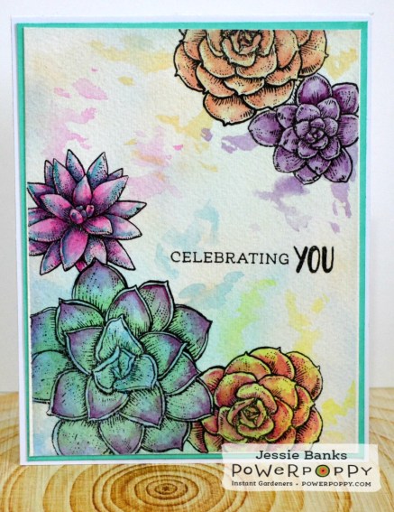 PP Succulent Singles 2.jpg