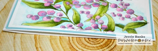 PP Bubble and fizz 2