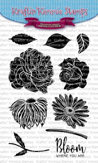 26230310_10155746429316014_6216438707406095454_n