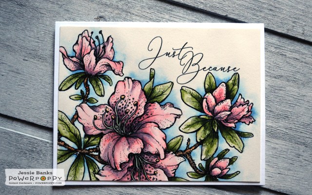 Power Poppy- Azaleas forever - Jessie Banks