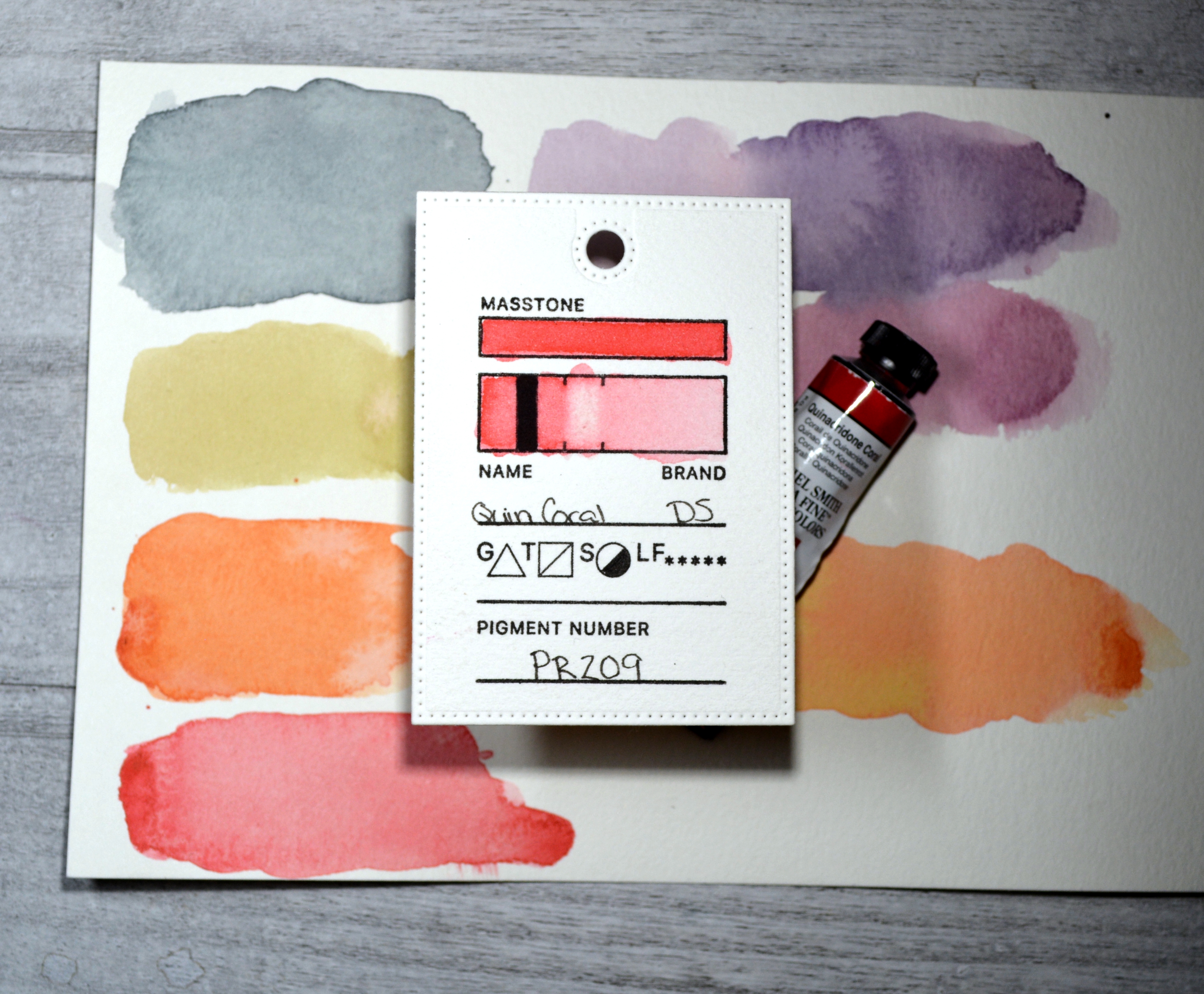 Colour focus quin coral