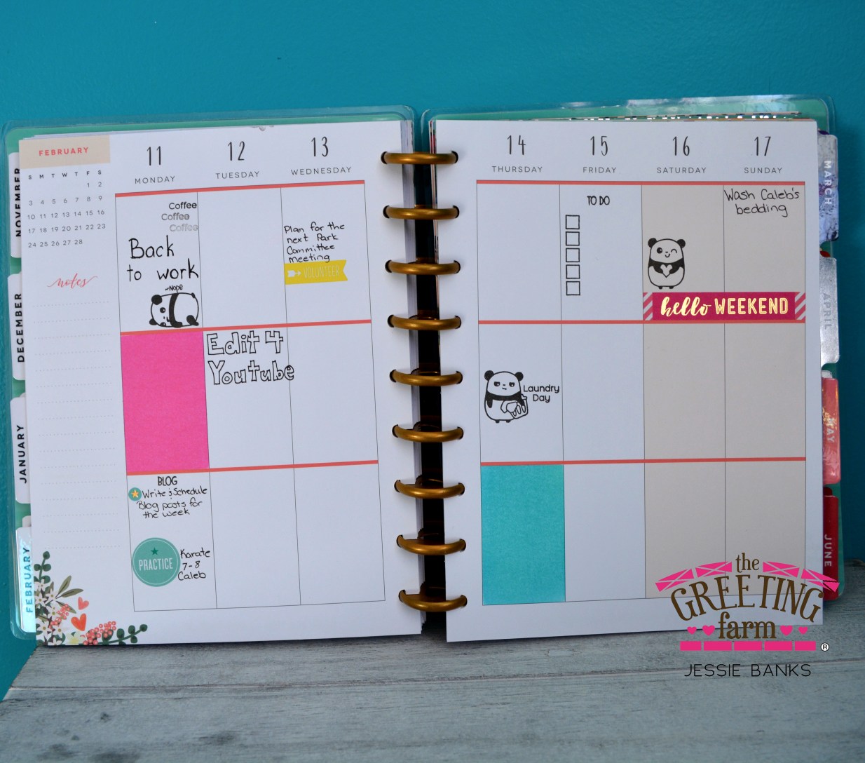 The Greeting Farm - Panda Plans - Jessie Banks.jpg