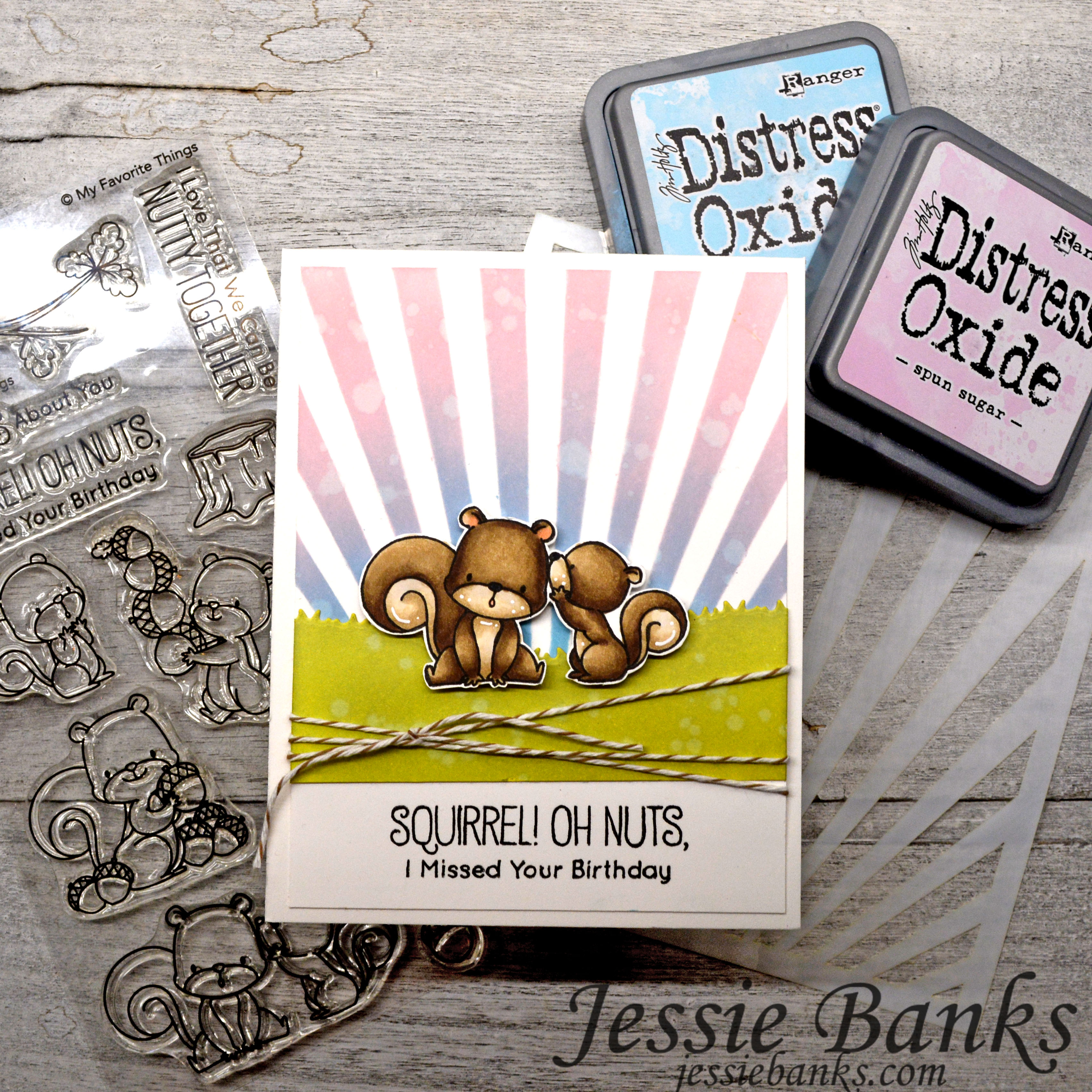 My Favorite Things – Squirrels | Jessie Banks